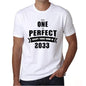 2033 No One Is Perfect White Mens Short Sleeve Round Neck T-Shirt 00093 - White / S - Casual
